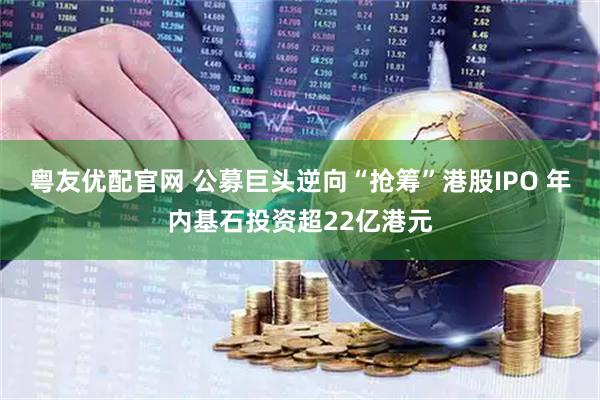 粤友优配官网 公募巨头逆向“抢筹”港股IPO 年内基石投资超22亿港元